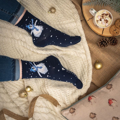 Wrendale Christmas Socks - Winter Wonderland Penguin