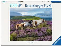 Ravensburger wild horses in heather 2000pc puzzle
