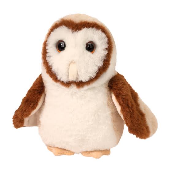 Douglas Rafter Barn Owl