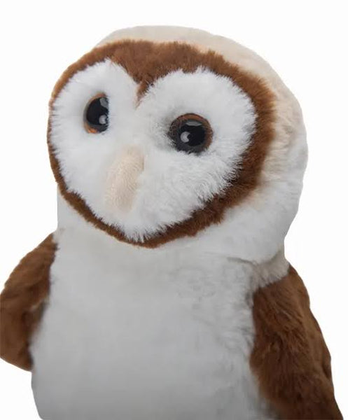 Douglas Rafter Barn Owl