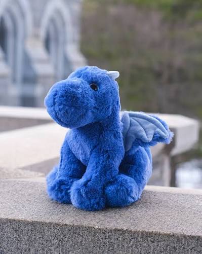 Douglas indie dragon