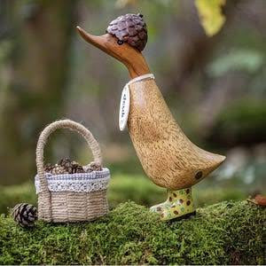 Dcuk Woodland folk