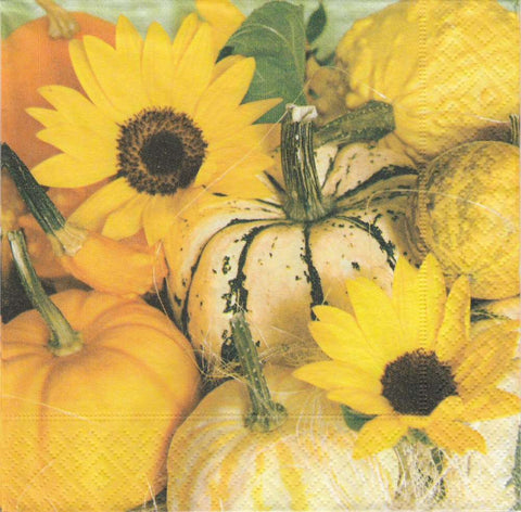 Sunflowers & Pumpkins Napkins